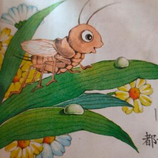 我是一只小虫子