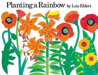 《Planting A Rainbow 种彩虹》