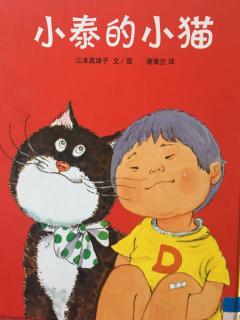 小泰的小猫