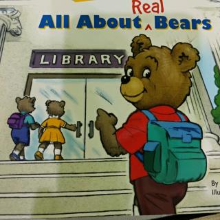 All about real bears