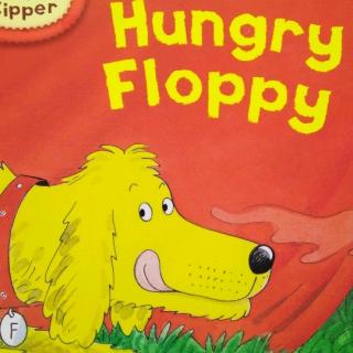 Hungry Floppy第一次作业