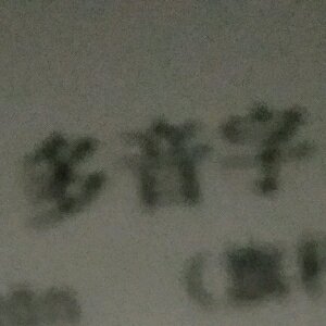 刘朝阳《“多音字”》