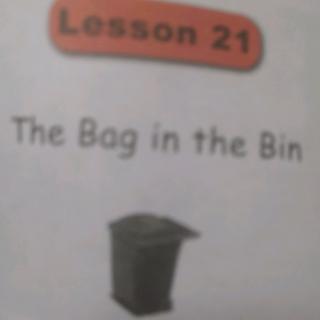 The Bag in the bin