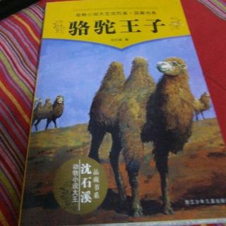 骆驼🐫王子