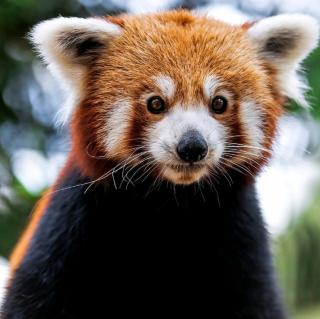 【我真高兴】在线收听_天空的播客_荔枝