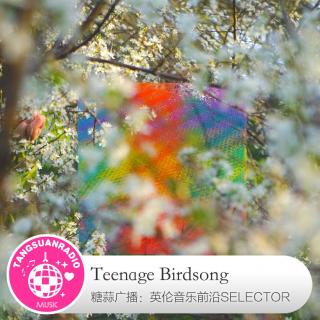  糖蒜爱音乐之The Selector：Teenage Birdsong