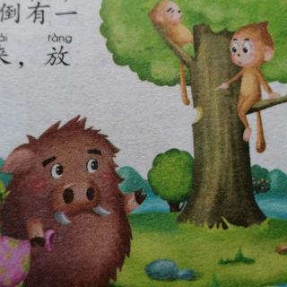 智童幼儿园🏠睡前故事🌙🌙《野猪和猴子》