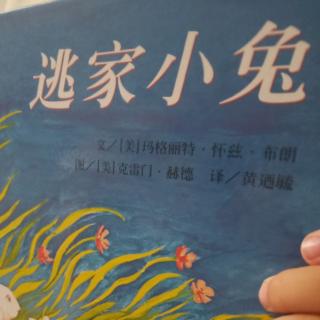 301《逃家小兔》