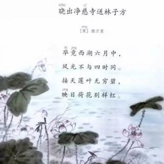 ［又又读诗·夏·荷韵］42.晓出净慈寺送林子方（杨万里）