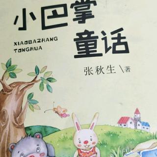 《小巴掌童话故事》小波纹的童话