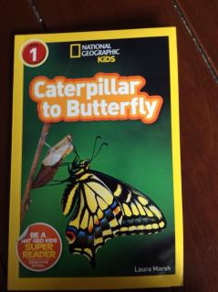 Jun 9-Caterpillar to butterfly D2
