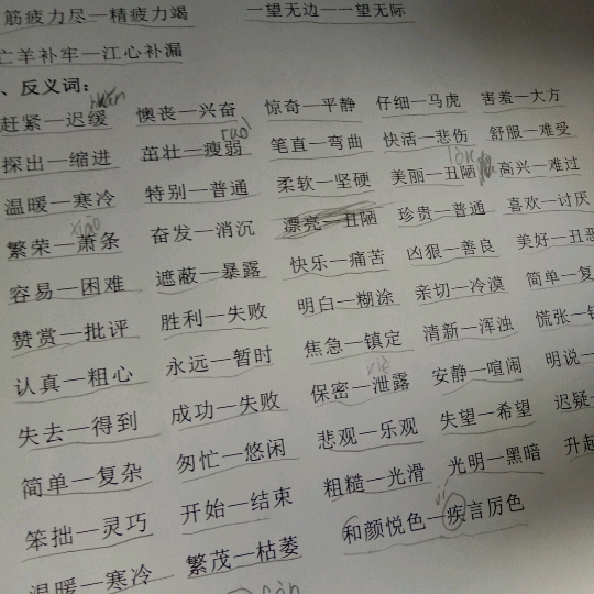 近义词、反义词