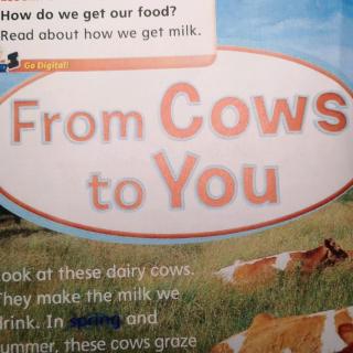 20190617 From cows to you