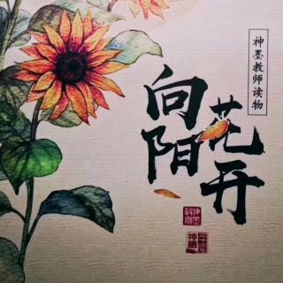 神墨新时代之神墨教师的进阶之路（四）