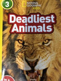 Deadliest Animals