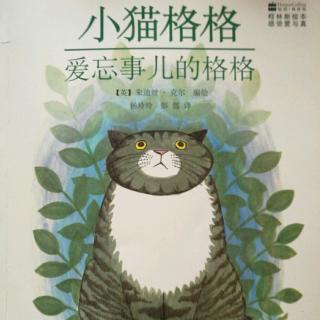 《小猫格格爱忘事儿的格格》