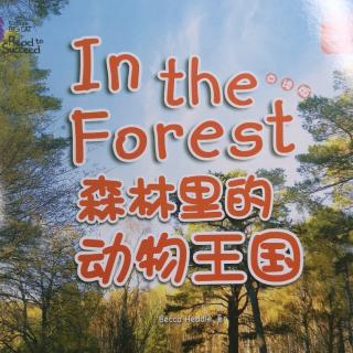 张紫彤：In the Forest