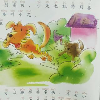 中坝镇中心幼儿园睡前故事《猎犬和兔子》