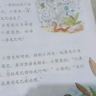 张绿读《小壁虎借尾巴》