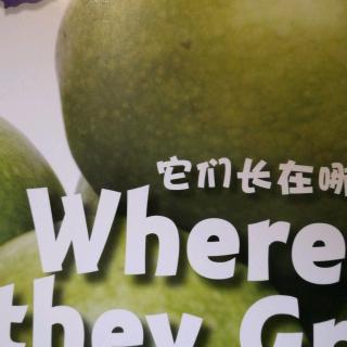 20190618远灏读书～小猪唏哩呼噜，where do they grow