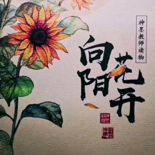 神墨新时代之神墨教师的进阶之路（五）