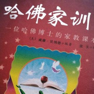 将军和女奴