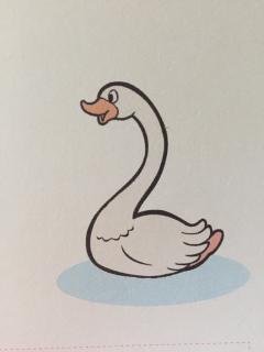 古诗朗诵《咏鹅🦢》