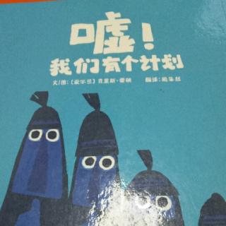 《嘘！我们有个计划》