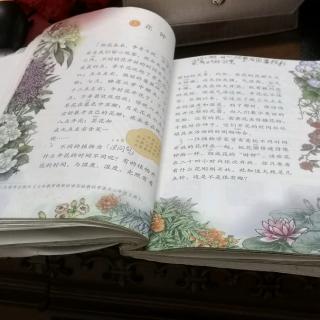 三年级语文.下册  13《花钟》