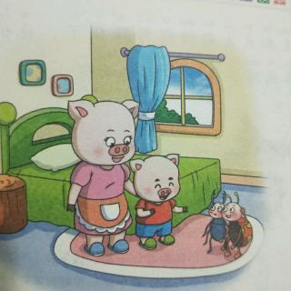 20190619胡桃壳的鞋子和手套