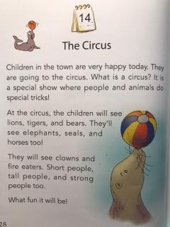 The Circus