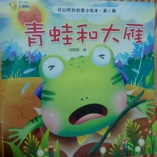蒲公英晚安故事《青蛙和大雁》