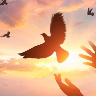 【天星围棋小故事】数学之神--华罗庚