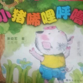 小猪唏哩呼噜    贾鑫源    06