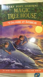 Magic Tree House 9