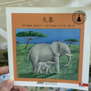 大象（粤语)