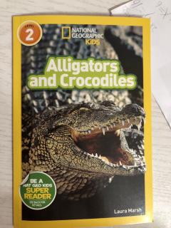 Jun21 Elsa14 day2-alligators and crocodiles