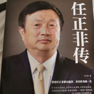 《任正非传》第十章“华为的反应力”