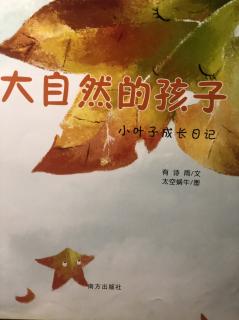 大自然的孩子—小叶子成长记