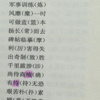 易错字集录5