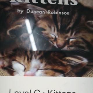 Kittens