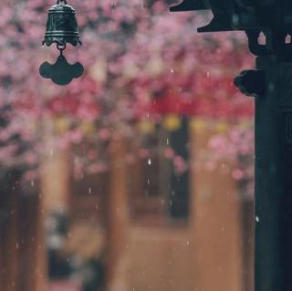 《雨》