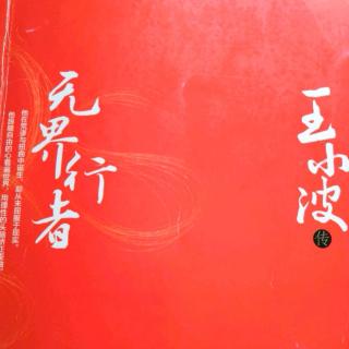 无界行者—王小波传 第三章 那个特殊的年代 1回京