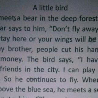 A little bird(0621)