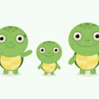 《三只小乌龟》