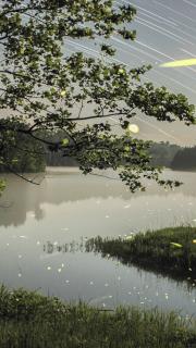 《听听那冷雨·节选》，余光中