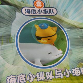 海底小纵队与小海豚