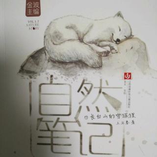 自然笔记之《长白山的雪狐狸》第1∽25面