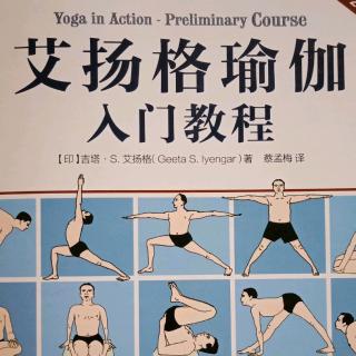 侧单腿肩倒立Parsvaika Pada Sarvangasana