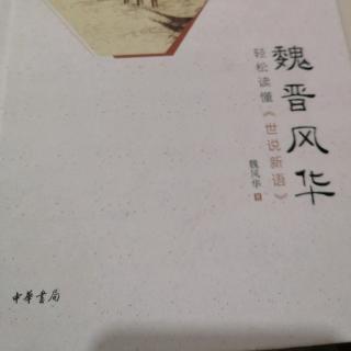 《魏晋风华》——艾艾哎邓艾